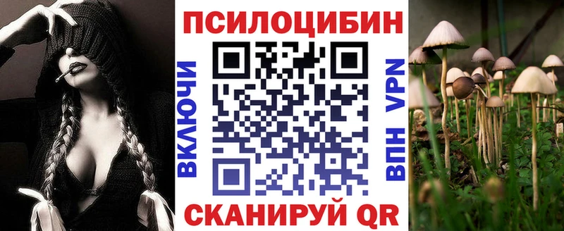 купить наркоту  Славгород  Галлюциногенные грибы мухоморы 