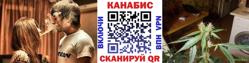 площадка официальный сайт  Славгород  Бошки марихуана конопля 